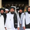 the afghans