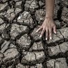 klimawandel alarmstufe rot hitze