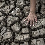 klimawandel alarmstufe rot hitze