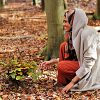 Umweltethik Islam welt moschee Bewegungen