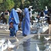 Taliban afghanistan