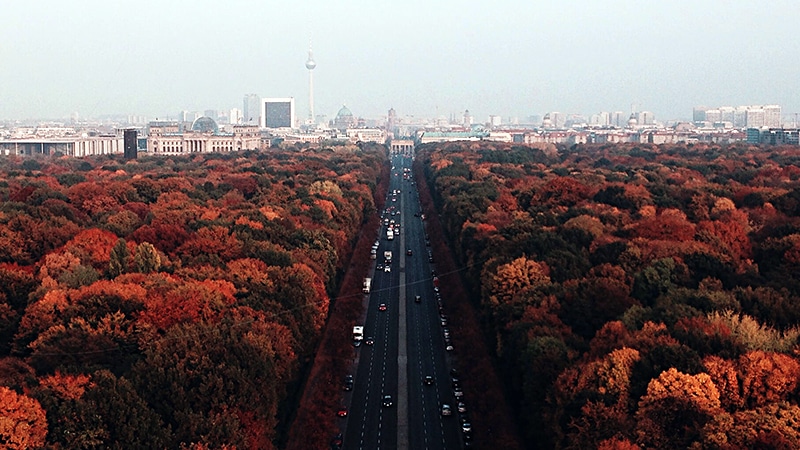 Berlin Bäume Tiergarten Brandenburger Tor