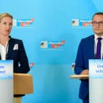 afd Rechtsextrem Bundestag widerstand Bundestagswahlen