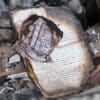 bücherverbrennung koran