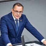 said rezek afd deutschland