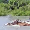 el niño ostafrika