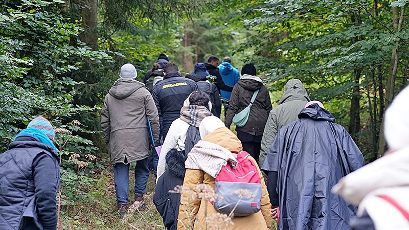 wald