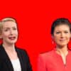linke wahl programm