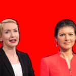 linke wahl programm