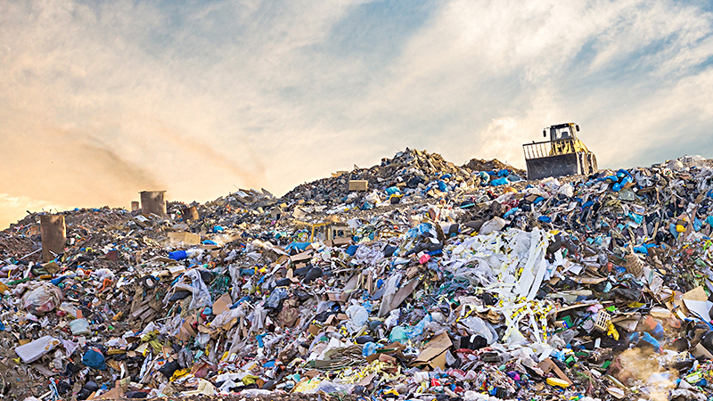 verschwendung konsum