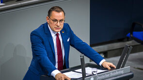 afd macht