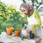 grüner islam