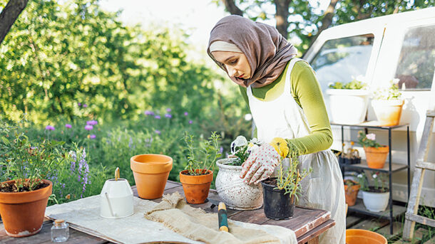 grüner islam