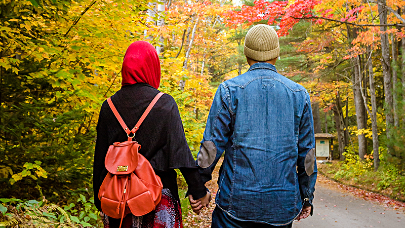 plattform reisen dunya