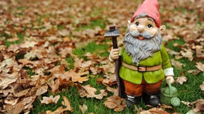 community selbstverzwergung