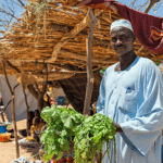 sudan mariam