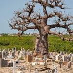 friedhof senegal