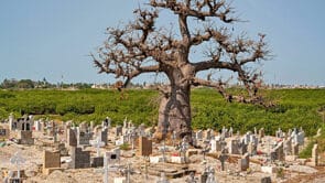 friedhof senegal