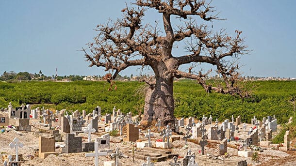 friedhof senegal