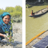 bangladesch solar aufforstung