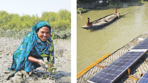 bangladesch solar aufforstung