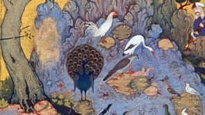 konferenz der vögel attar edition a