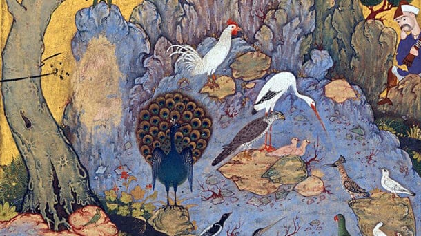 konferenz der vögel attar edition a